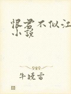 恨君不似江楼月小说封面