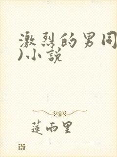 激烈的男同(h)小说