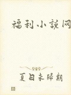 福利小说网封面