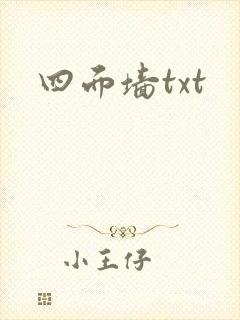 四面墙txt