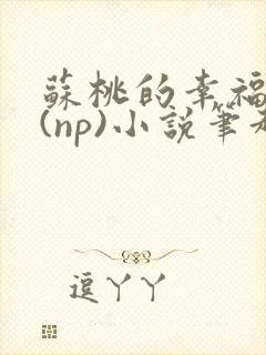 苏桃的幸福生活(np)小说笔趣阁沐沐