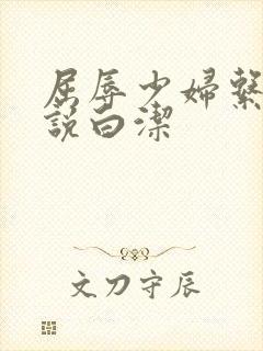 屈辱少妇系列小说白洁封面