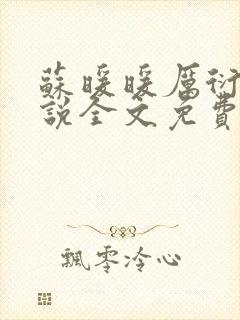 苏暖暖厉衍琛小说全文免费阅读封面