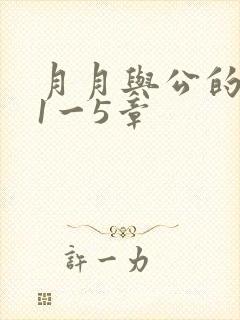 月月与公的激情1一5章
