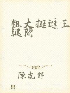 粗大挺进玉芬双腿间封面