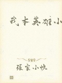 我本英雄小说