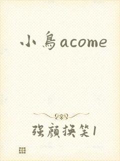 小鸟acome封面