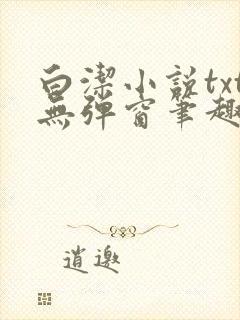 白洁小说txt无弹窗笔趣阁