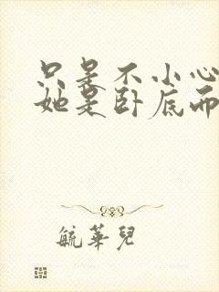 只是不小心发现她是卧底而已封面