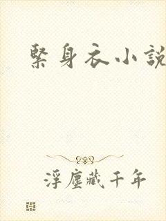 紧身衣小说封面