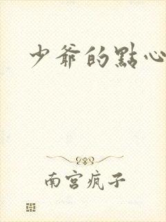 少爷的点心封面