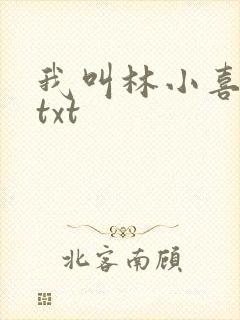 我叫林小喜小说txt