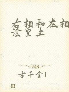 右相和左相一起淦皇上