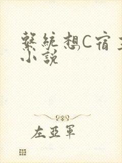 系统想C宿主的小说