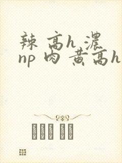 辣 高h 浓 np 肉 黄高h封面