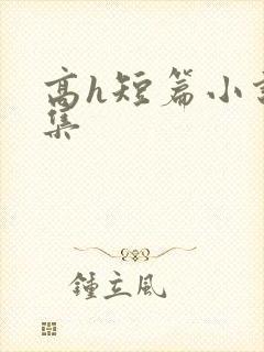 高h短篇小说合集封面