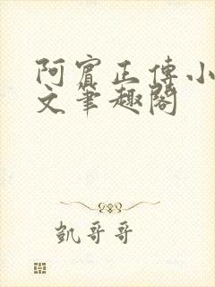 阿宾正传小说全文笔趣阁