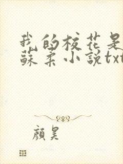 我的校花是福姬苏柔小说txt封面