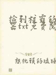 捡到校霸的遥控器txt免费阅读封面