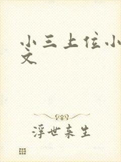 小三上位小说全文