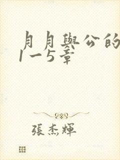 月月与公的激情1一5章
