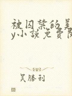 被囚禁的美人by小说免费阅读