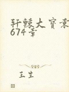 轩辕大宝袁雪妃674章