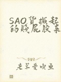 SAO货撅起你的贱屁股来封面