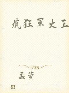 疯狂军火王封面