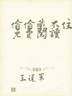 偷偷藏不住小说免费阅读