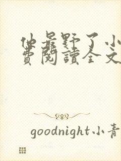 他最野了小说免费阅读全文