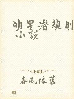 明星潜规则之皇 小说