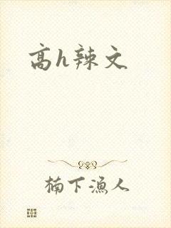 高h辣文