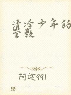 清冷少年的严厉管教