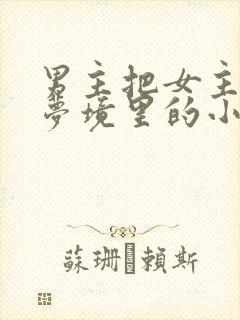 男主把女主拖进梦境里的小说