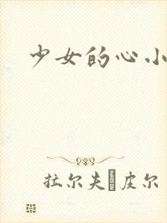 少女的心小说封面