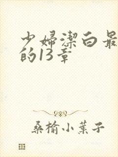 少妇洁白最刺激的13章