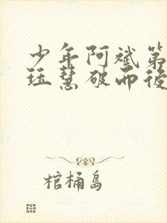 少年阿斌第二部珏慧破而后立