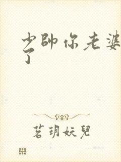 少帅你老婆又跑了