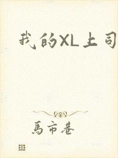 我的XL上司