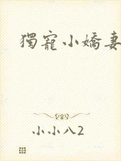 独宠小娇妻
