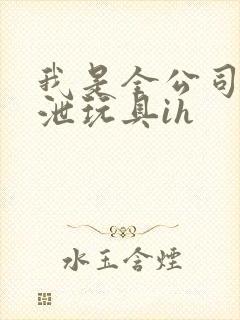 我是全公司的发泄玩具ih