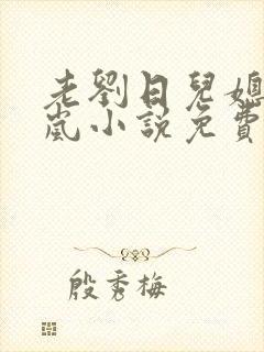 老刘日儿媳妇张岚小说免费阅读封面