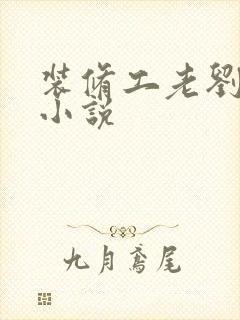 装修工老刘林雪小说