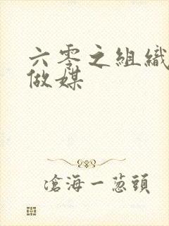 六零之组织给我做媒