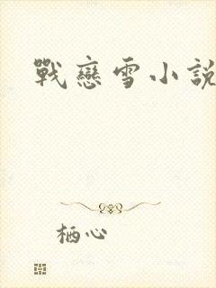 战恋雪小说