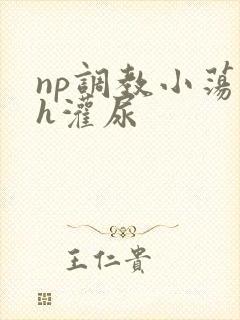 np调教小荡货h灌尿