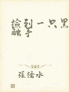 捡到一只黑心小触手