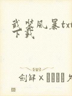 武装风暴txt下载