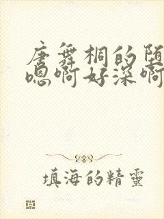 唐舞桐的堕落H嗯啊好深啊封面